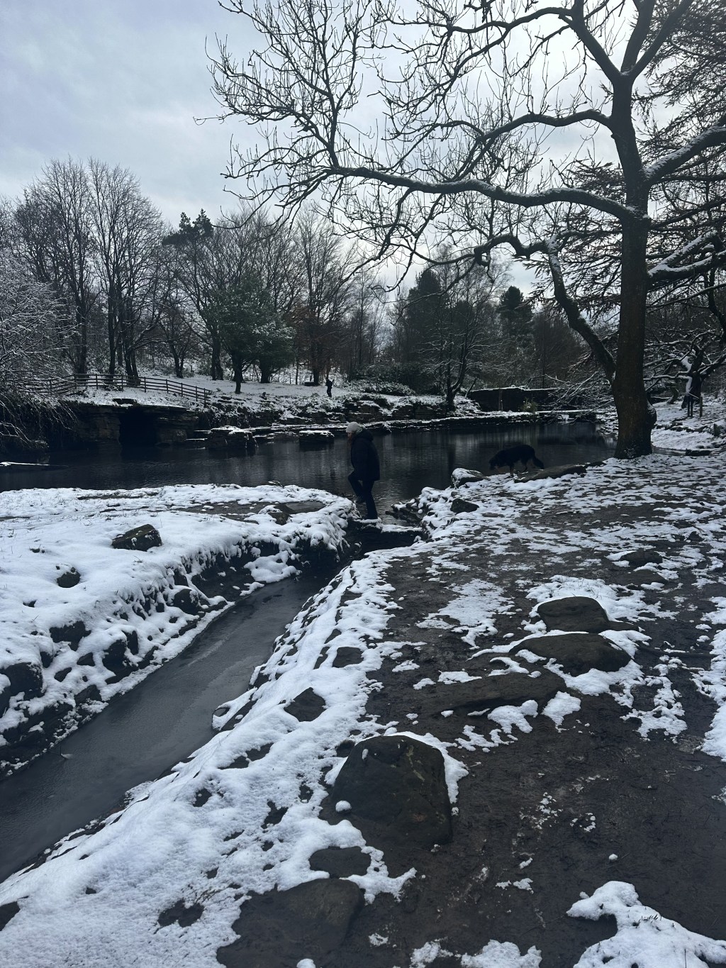 NEW YEAR NEW ME & ALL THAT&nbsp;JAZZ